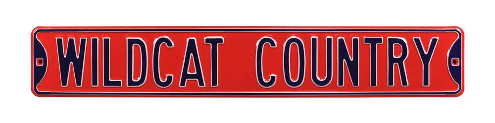 Arizona Wildcats Steel Street Sign-WILDCAT COUNTRY  16