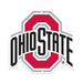 Ohio State Buckeyes Laser Cut Steel Logo Spirit Size-Primary Logo  9