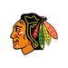 Chicago Blackhawks Laser Cut Steel Logo Spirit Size-Primary Logo  8