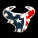 Houston Texans  Logo Lighted Recycled Metal Sign